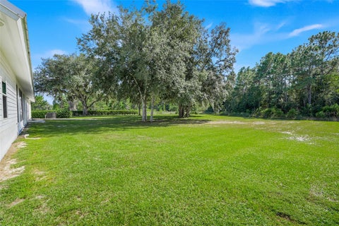 Tiny photo for 6100 Ocilla Loop, Clermont, FL 34714 (MLS # G5119302)