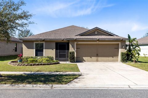 A home in TAVARES