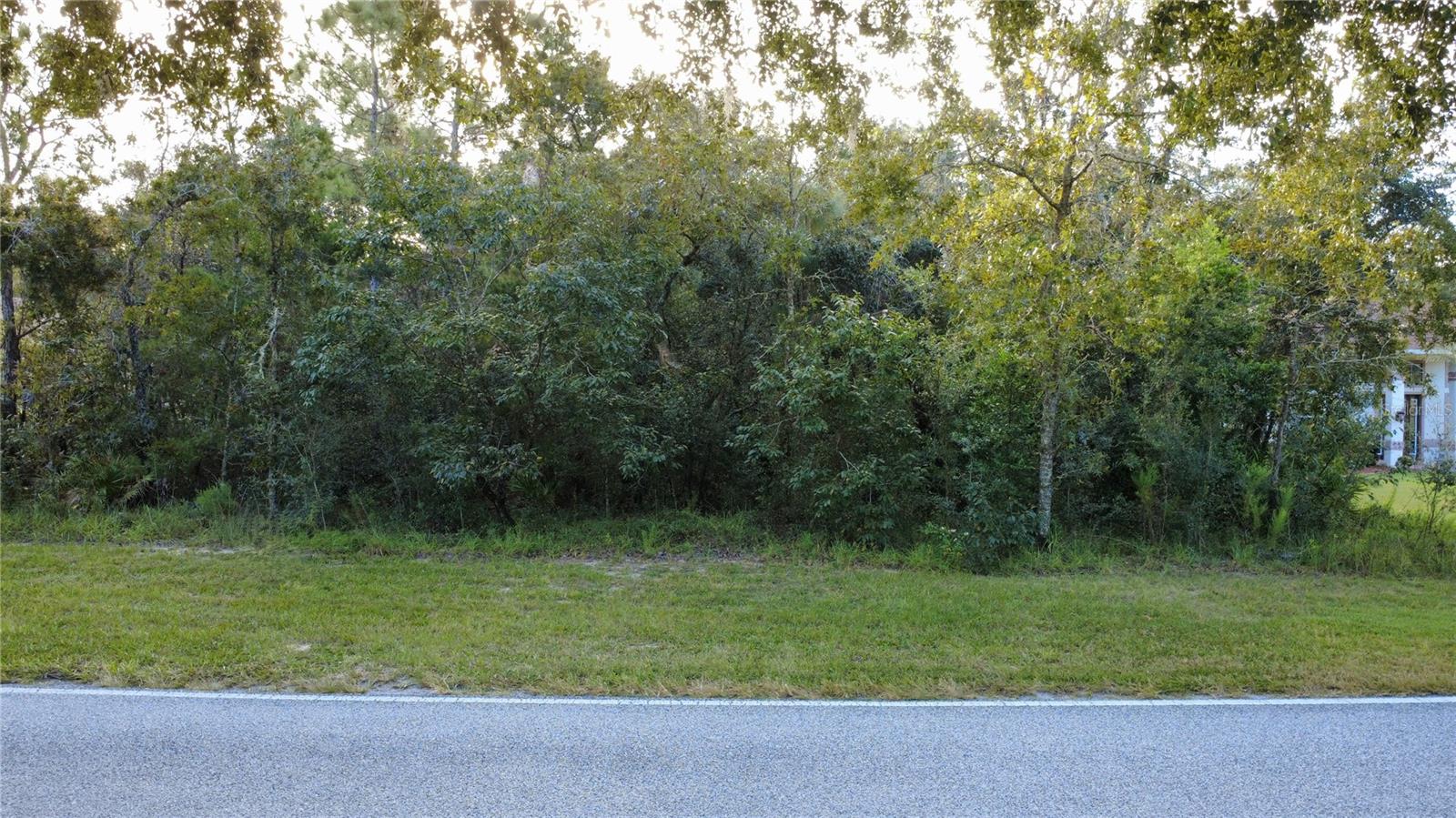 SUGARMILL WOODS OAK VILLAGE - Land
