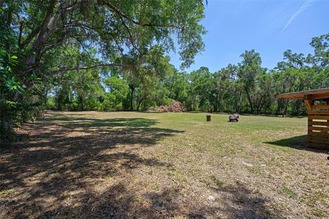 Tiny photo for 3729 S Lecanto Highway, Lecanto, FL 34461 (MLS # W7874892)