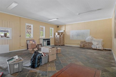 Tiny photo for 3729 S Lecanto Highway, Lecanto, FL 34461 (MLS # W7874892)