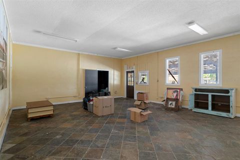 Tiny photo for 3729 S Lecanto Highway, Lecanto, FL 34461 (MLS # W7874892)