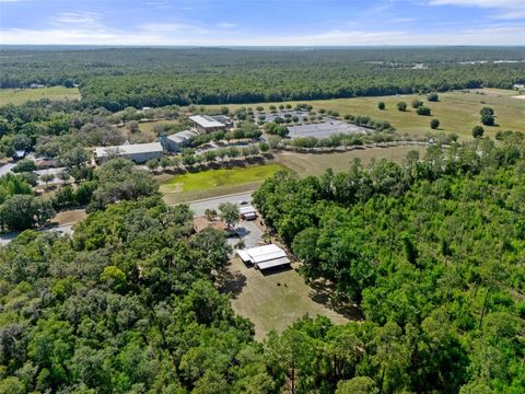 Tiny photo for 3729 S Lecanto Highway, Lecanto, FL 34461 (MLS # W7874892)