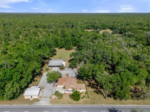 Tiny photo for 3729 S Lecanto Highway, Lecanto, FL 34461 (MLS # W7874892)