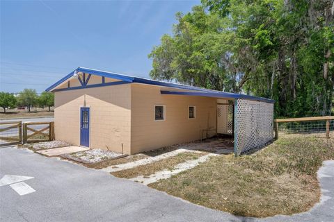 Tiny photo for 3729 S Lecanto Highway, Lecanto, FL 34461 (MLS # W7874892)