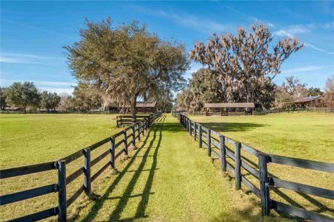 Tiny photo for 9760 W Highway 316, Reddick, FL 32686 (MLS # OM717001)