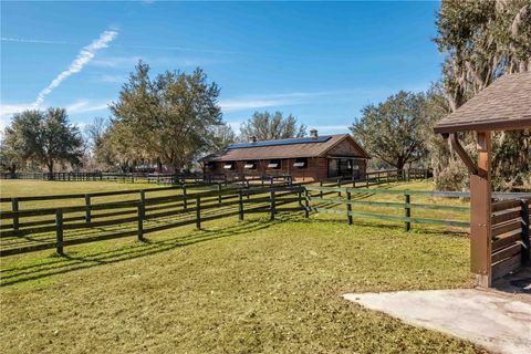 Tiny photo for 9760 W Highway 316, Reddick, FL 32686 (MLS # OM717001)