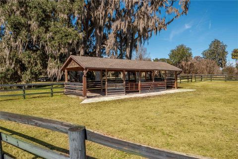 Tiny photo for 9760 W Highway 316, Reddick, FL 32686 (MLS # OM717001)