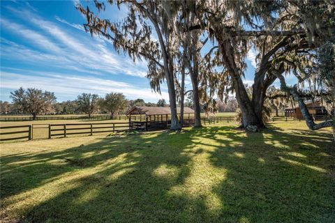 Tiny photo for 9760 W Highway 316, Reddick, FL 32686 (MLS # OM717001)