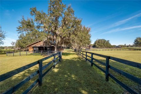 Tiny photo for 9760 W Highway 316, Reddick, FL 32686 (MLS # OM717001)