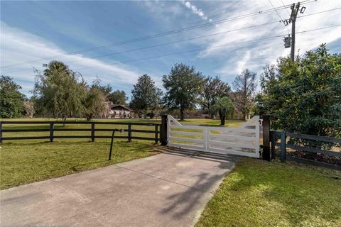 Tiny photo for 9760 W Highway 316, Reddick, FL 32686 (MLS # OM717001)