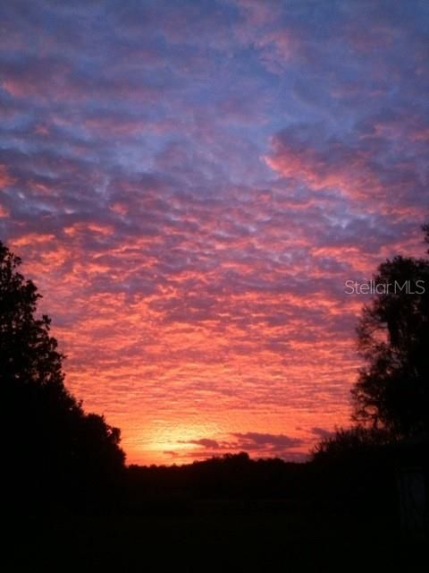 Tiny photo for 9760 W Highway 316, Reddick, FL 32686 (MLS # OM717001)