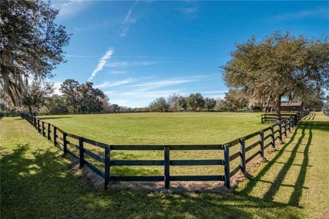 Tiny photo for 9760 W Highway 316, Reddick, FL 32686 (MLS # OM717001)