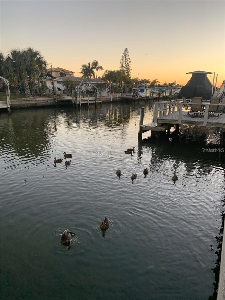 SEA HORSE MOBILE HOME PARK CONDO - Land