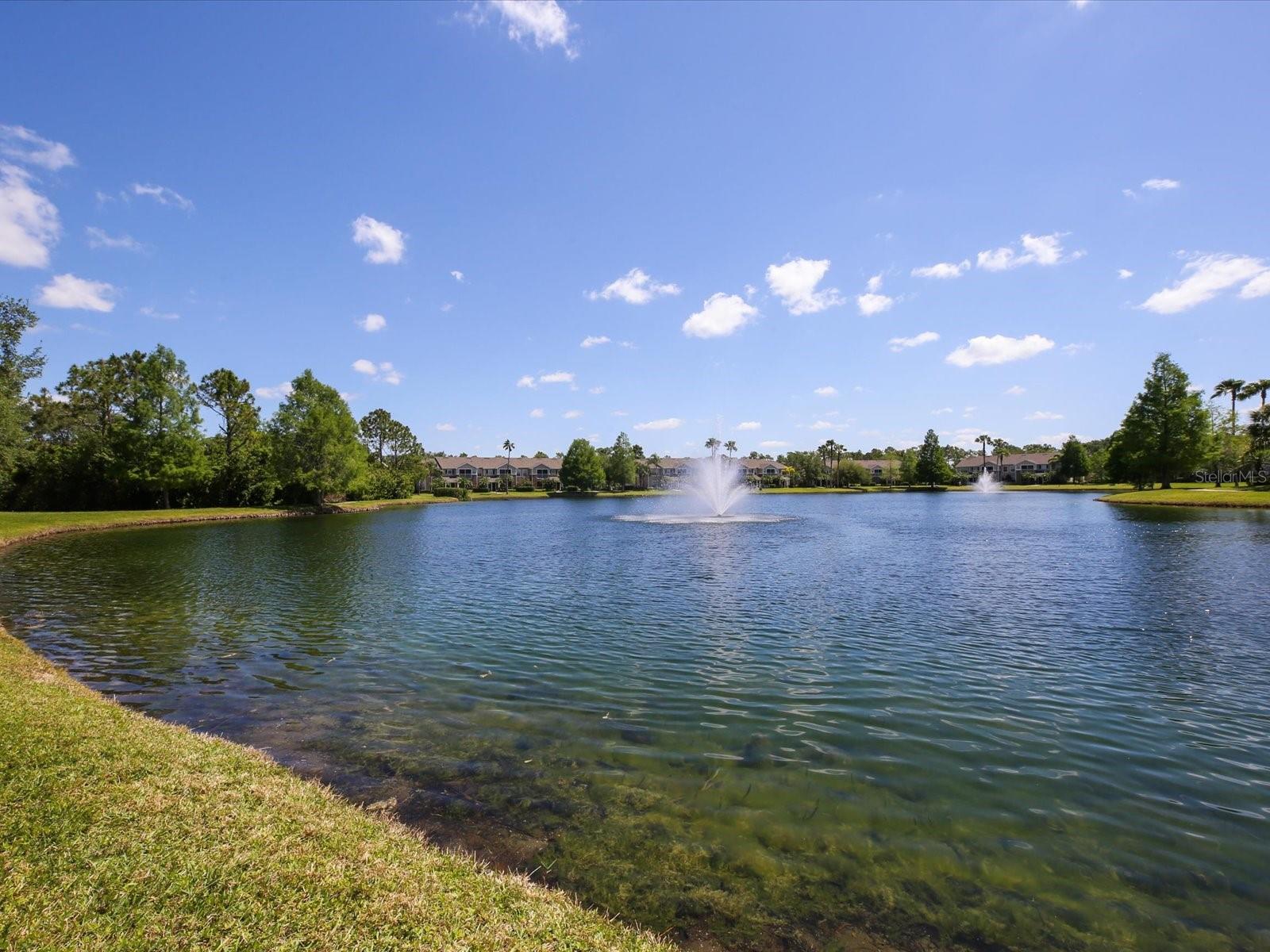 THE VILLAGE AT TOWNPARK - Residential Lease