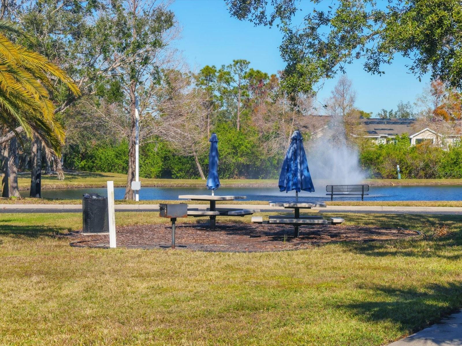 THE VILLAGE AT TOWNPARK - Residential Lease