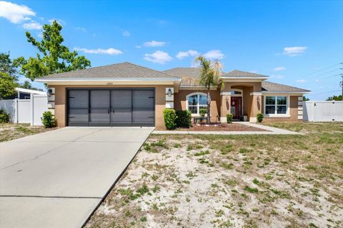 Photo of 14061 White Plains Street, Spring Hill, FL 34609 (MLS # W7884393)