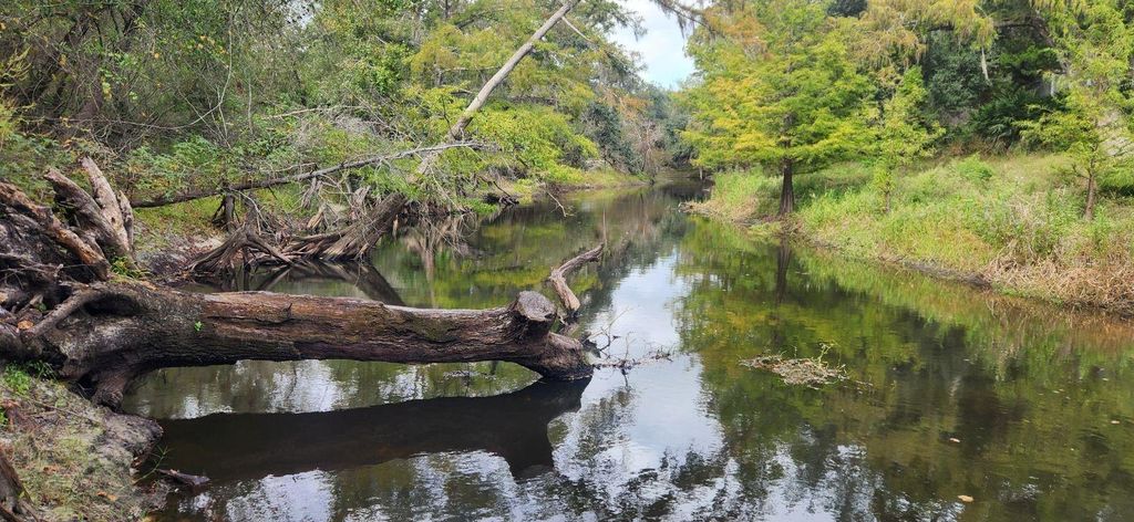 Photo of 12 Marchmont Circle, Dade City, FL 33523 (MLS # TB8426590)