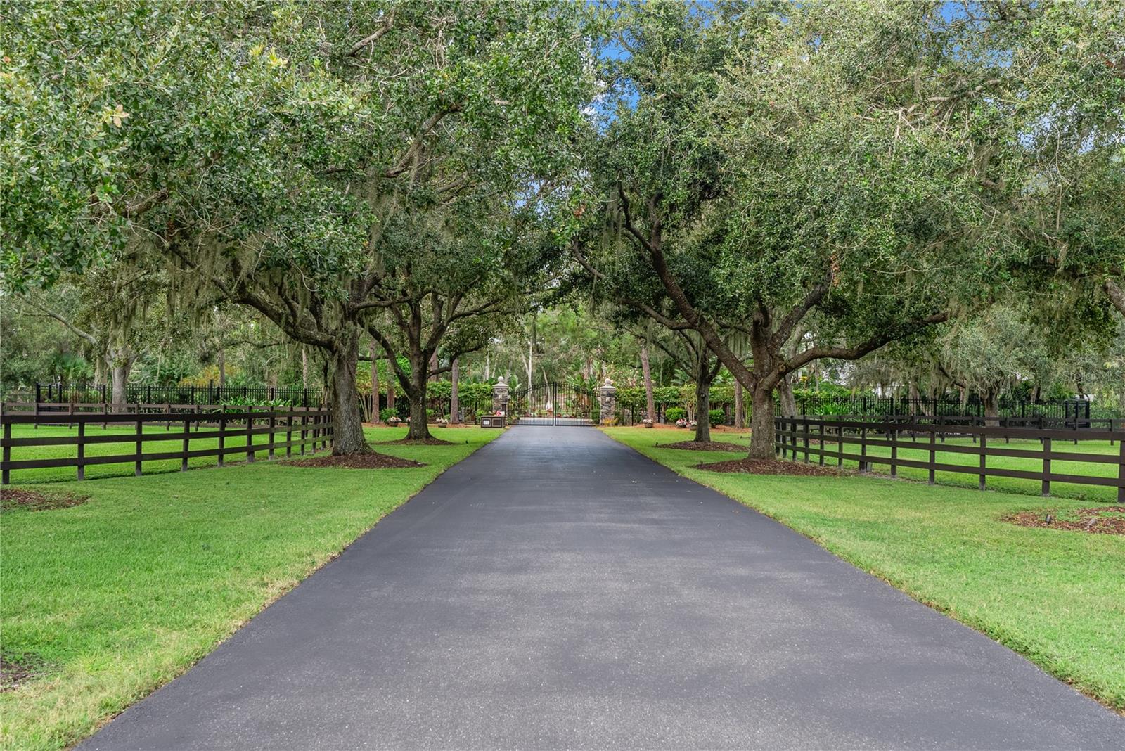 SADDLE CREEK - Residential
