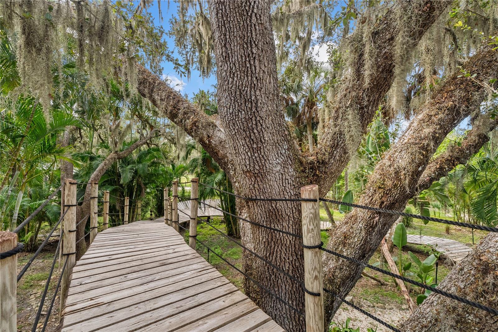 SADDLE CREEK - Residential