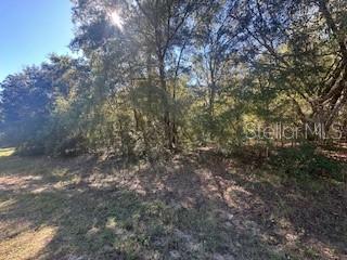 000386 - CITRUS SPRINGS UNIT 19 - Land