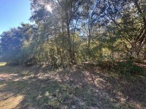 10012 N ATHENIA DRIVE CITRUS SPRINGS FL 34434