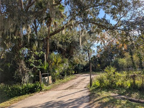 Photo of 25314 Luke Street, Christmas, FL 32709 (MLS # O6373170)