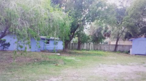 A home in MOUNT DORA