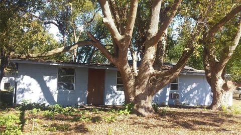 A home in MOUNT DORA