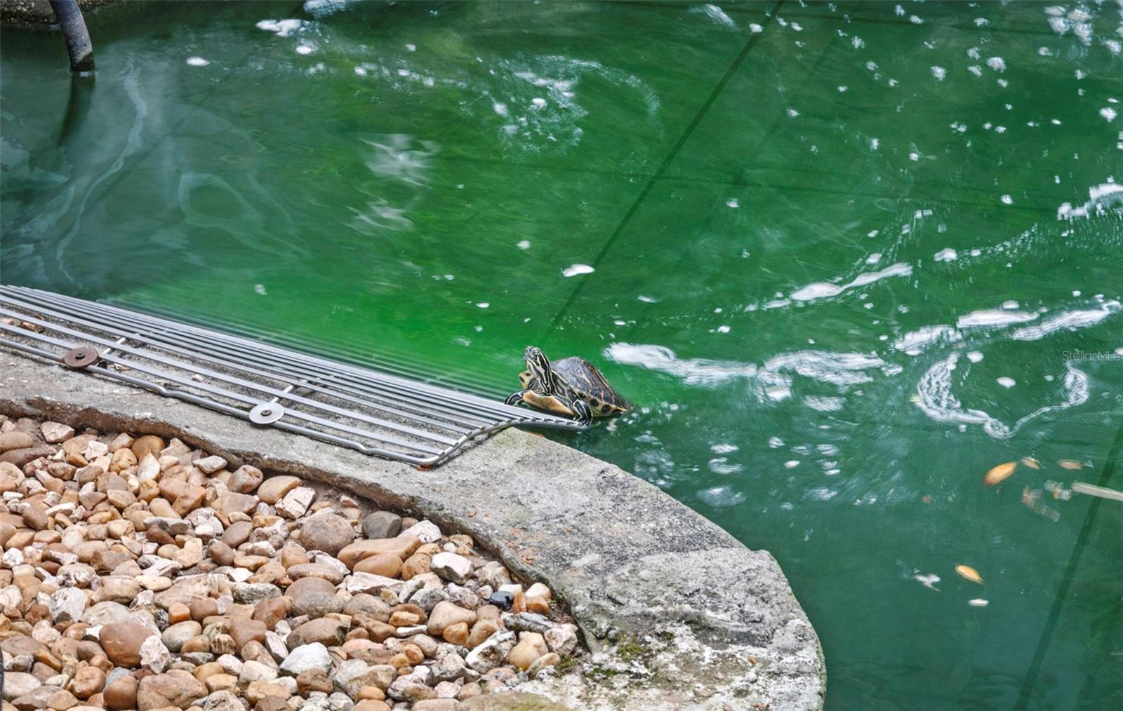 RAMBLING ACRES WEST - Residential