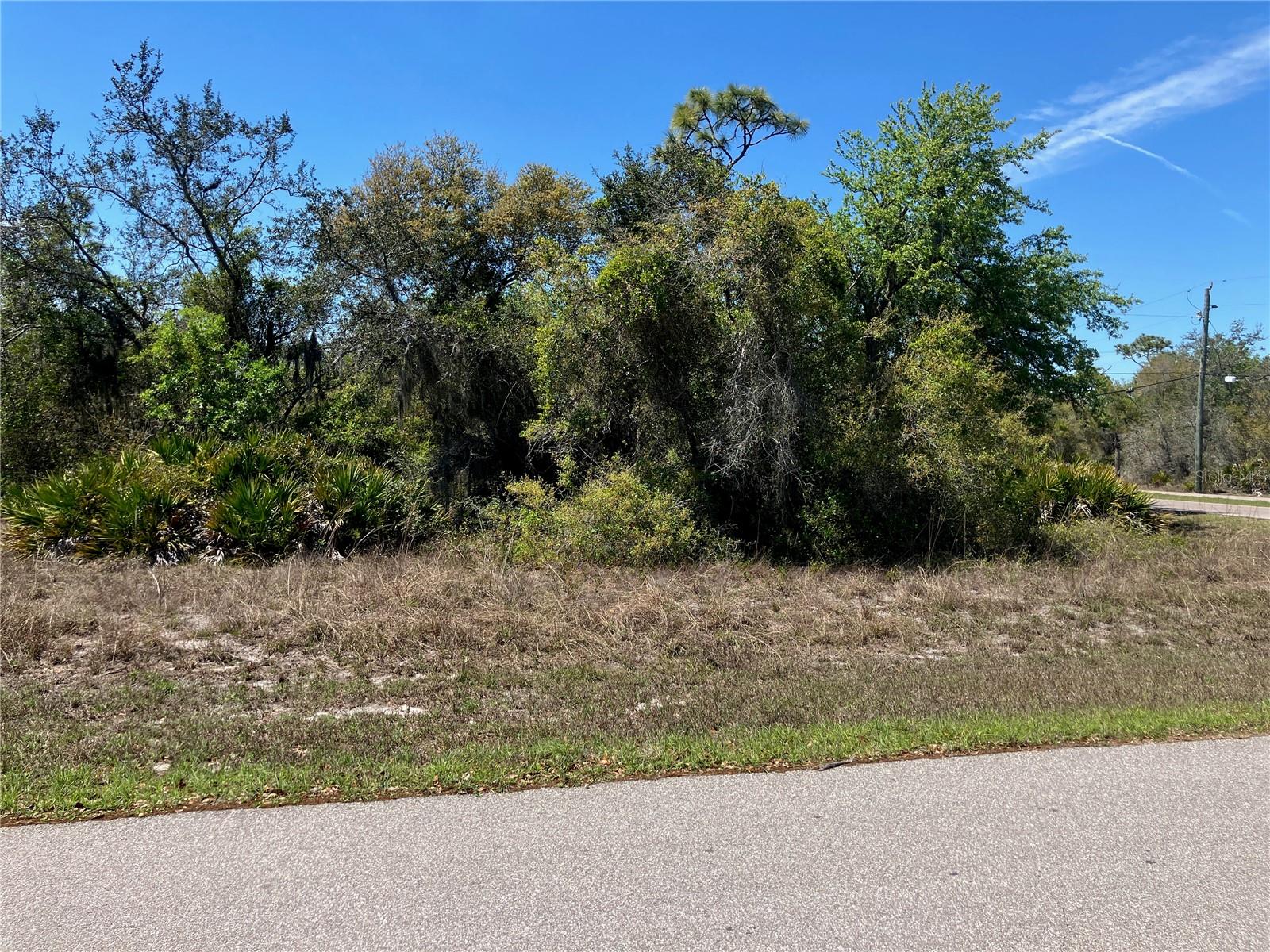 PEACE RIVER SHORES - Land