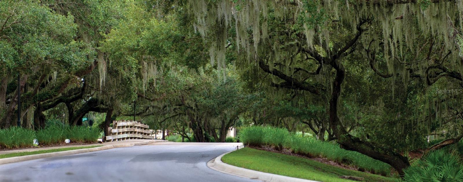 CONCESSION PH II BLK B & PH III PB48/56 - Land