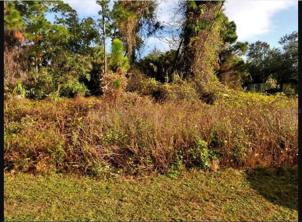 Photo of Halleck Street, North Port, FL 34288 (MLS # A4659350)