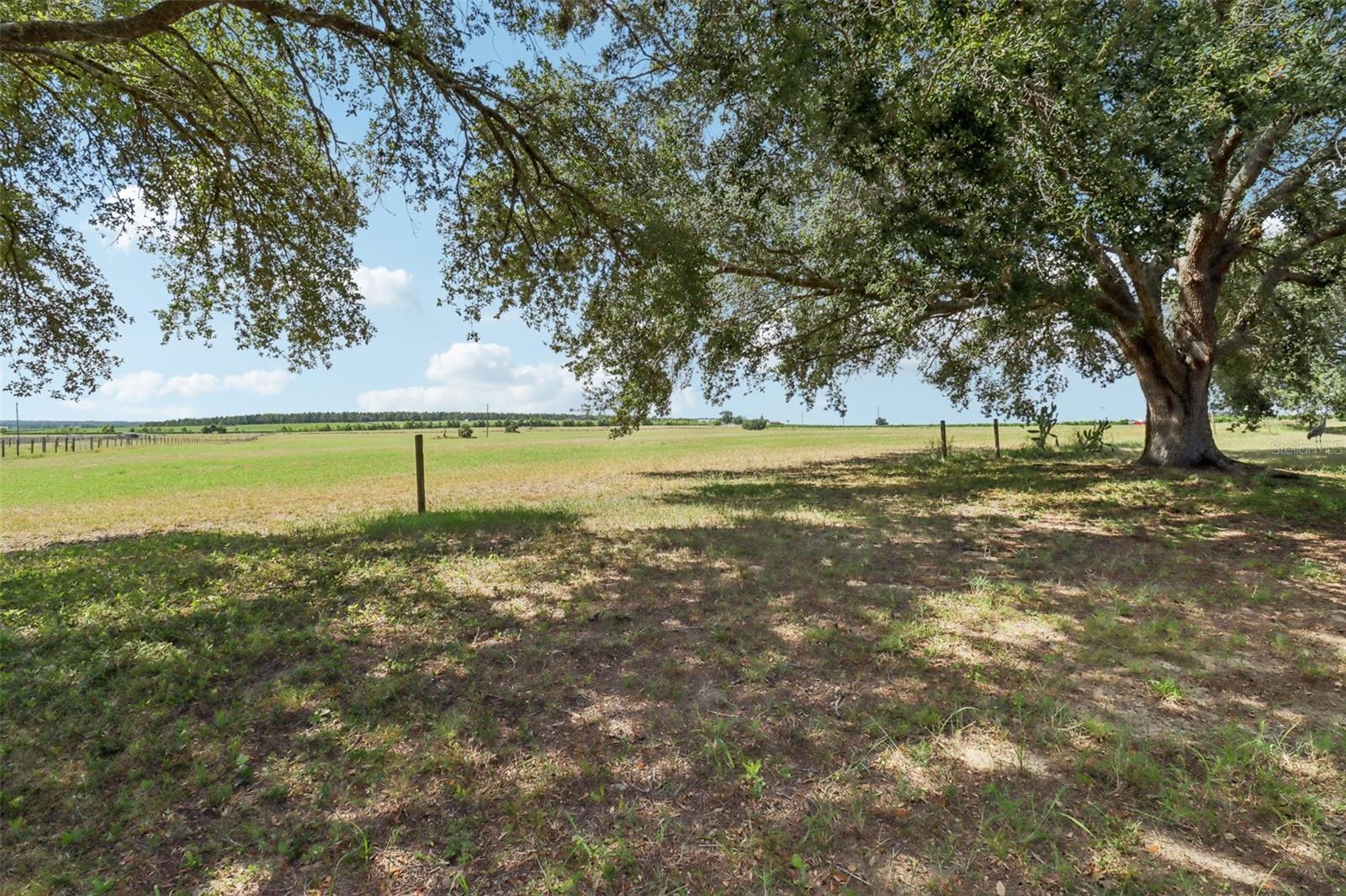 WEDGEWOOD CLUB FIFTH ADD - Residential