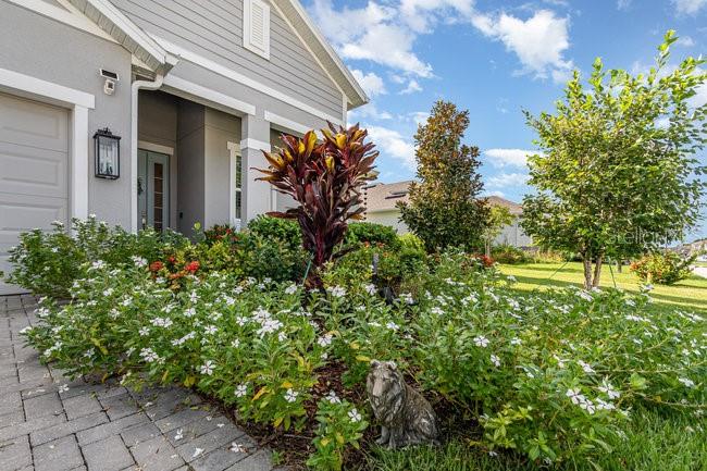 SUMMERBROOKE PH 4 - Residential