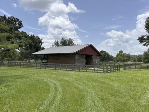 18803 DORMAN ROAD LITHIA FL 33547