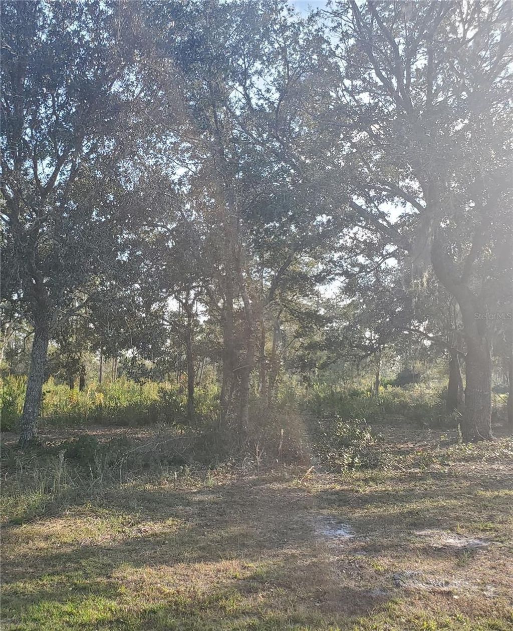 Photo of 715 Indian Lake Drive, Indian Lake Estates, FL 33855 (MLS # TB8514532)