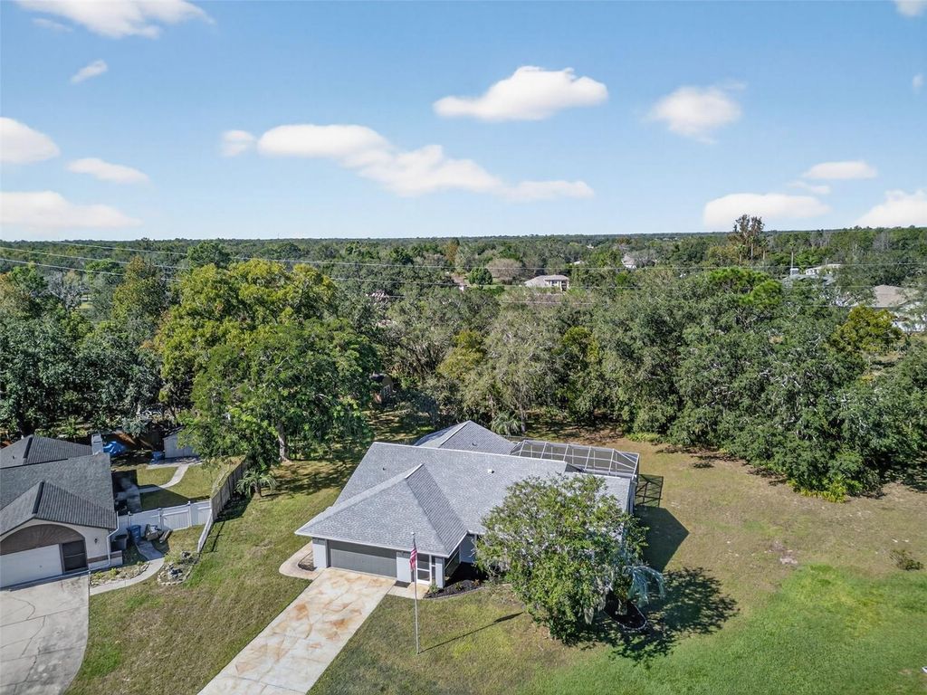 Photo of 10051 Sleepy Willow Court, Spring Hill, FL 34608 (MLS # TB8438589)