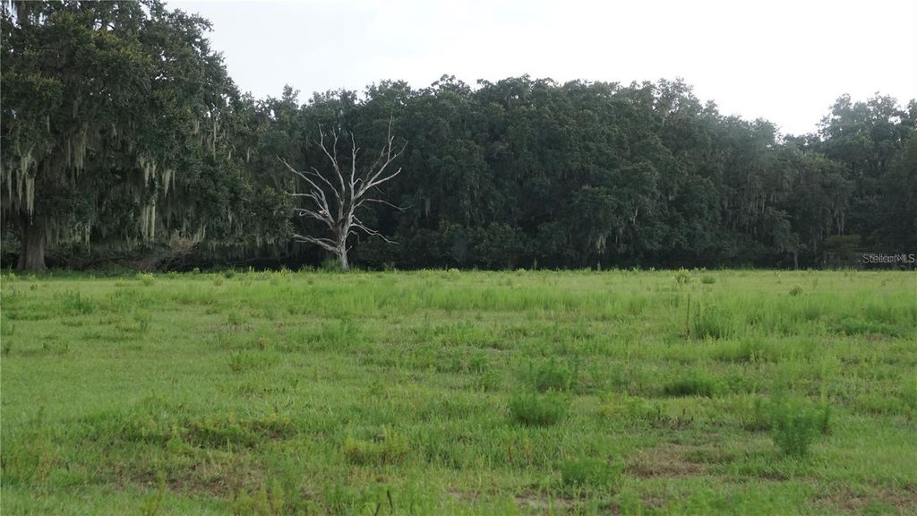 Photo of Durant Rd, Dover, FL 33527 (MLS # TB8506016)