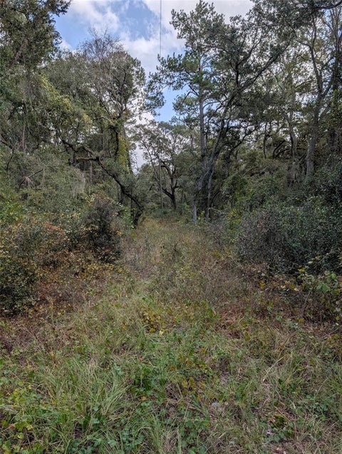 Tiny photo for 0 NW Hwy 464b, Morriston, FL 32668 (MLS # OM734899)