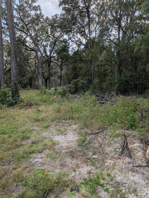 Tiny photo for 0 NW Hwy 464b, Morriston, FL 32668 (MLS # OM734899)