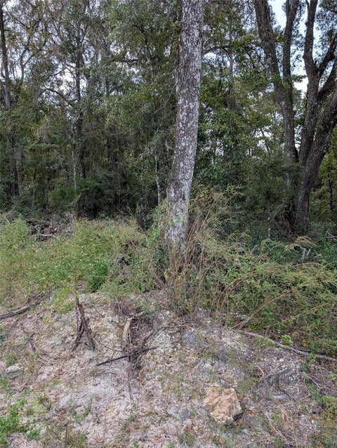 Tiny photo for 0 NW Hwy 464b, Morriston, FL 32668 (MLS # OM734899)