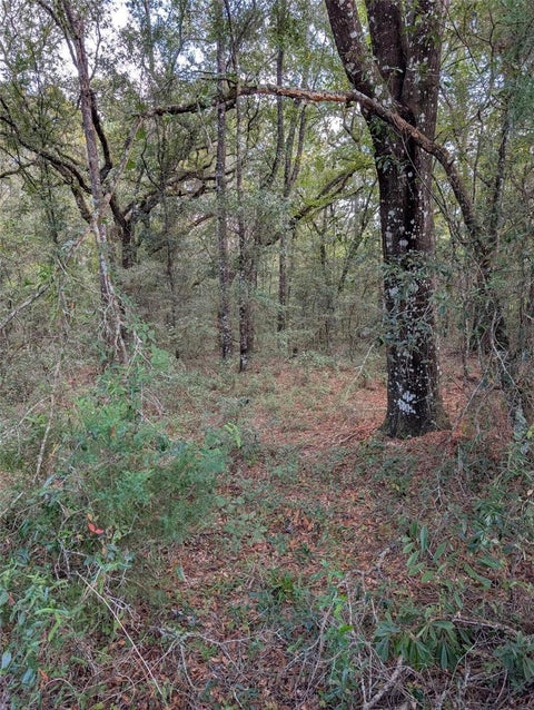 Tiny photo for 0 NW Hwy 464b, Morriston, FL 32668 (MLS # OM734899)