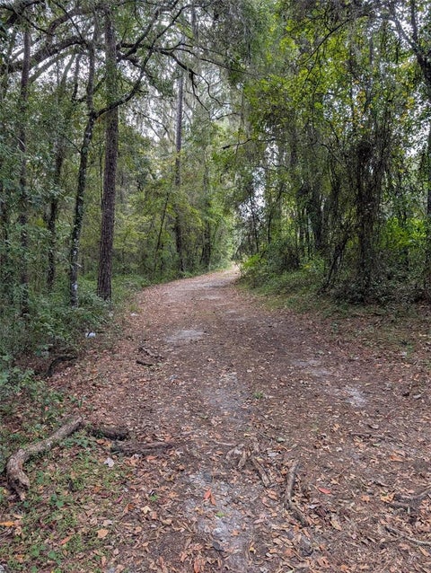 Photo of 0 NW Hwy 464b, Morriston, FL 32668 (MLS # OM734899)