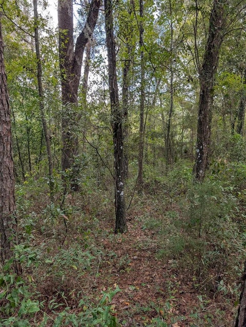 Tiny photo for 0 NW Hwy 464b, Morriston, FL 32668 (MLS # OM734899)