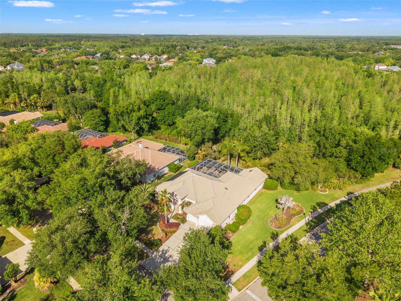 17890 ARBOR GREENE DRIVE