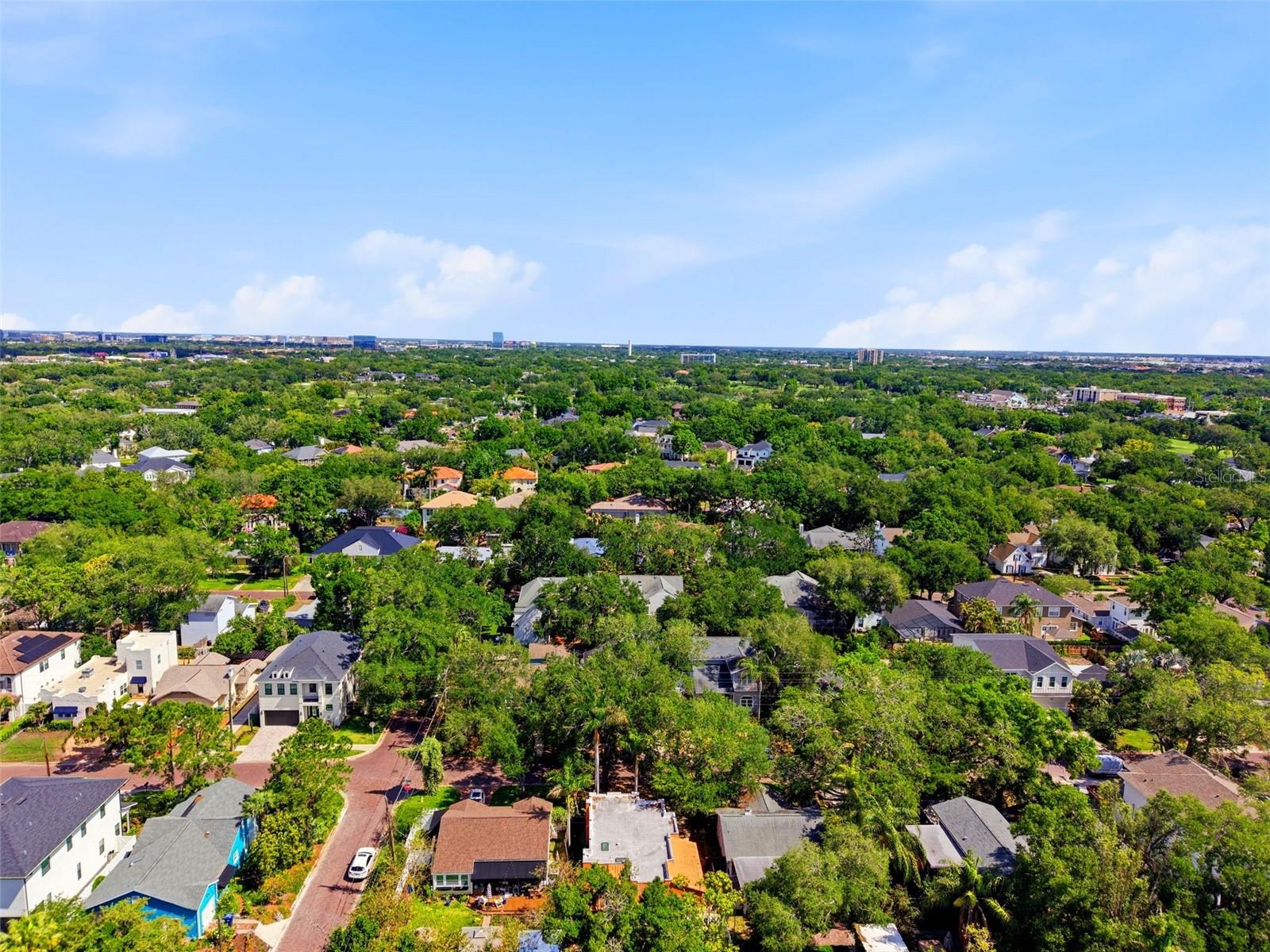 PALMA CEIA PARK - Residential