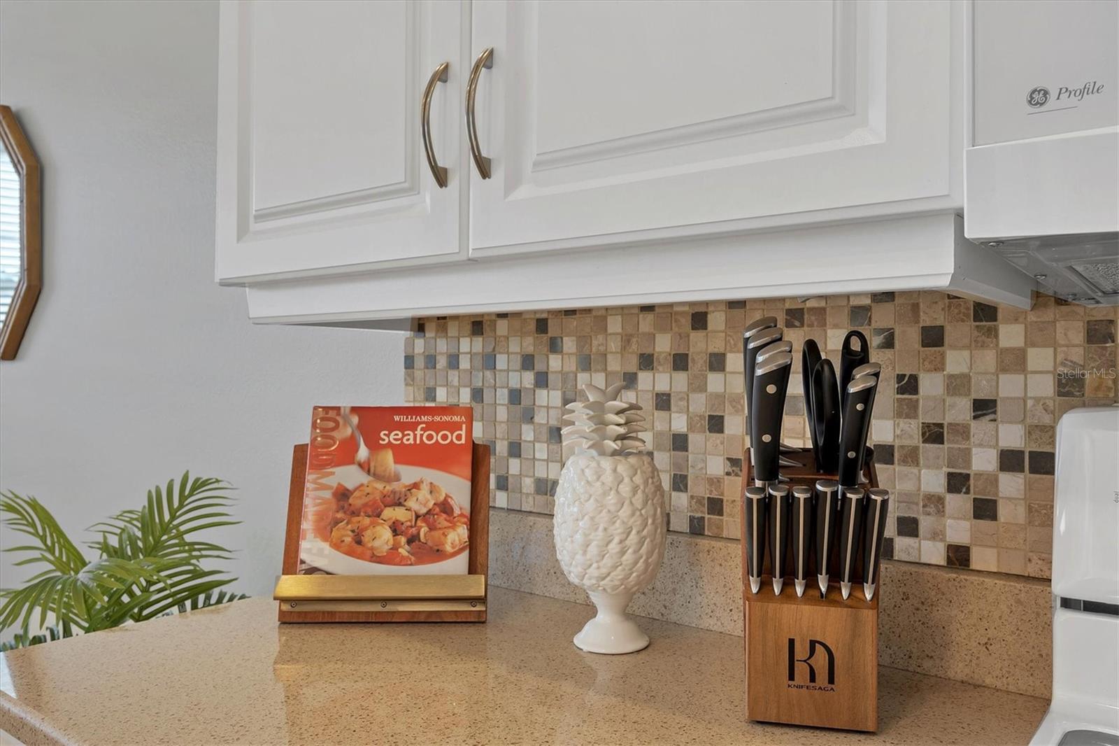 STONEYBROOK GOLF & COUNTRY CLUB - Residential Lease