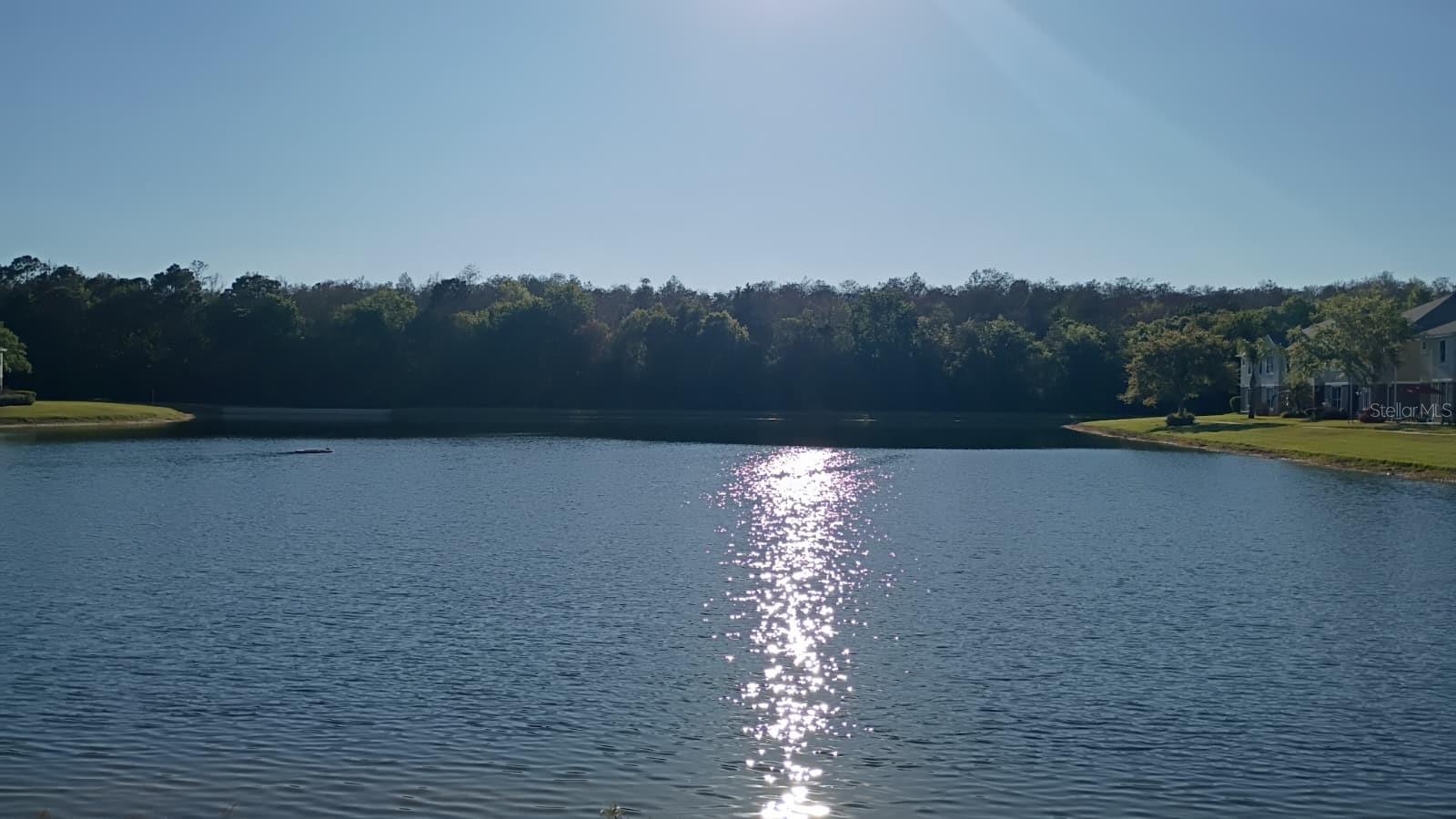 CARTER GLEN - Residential