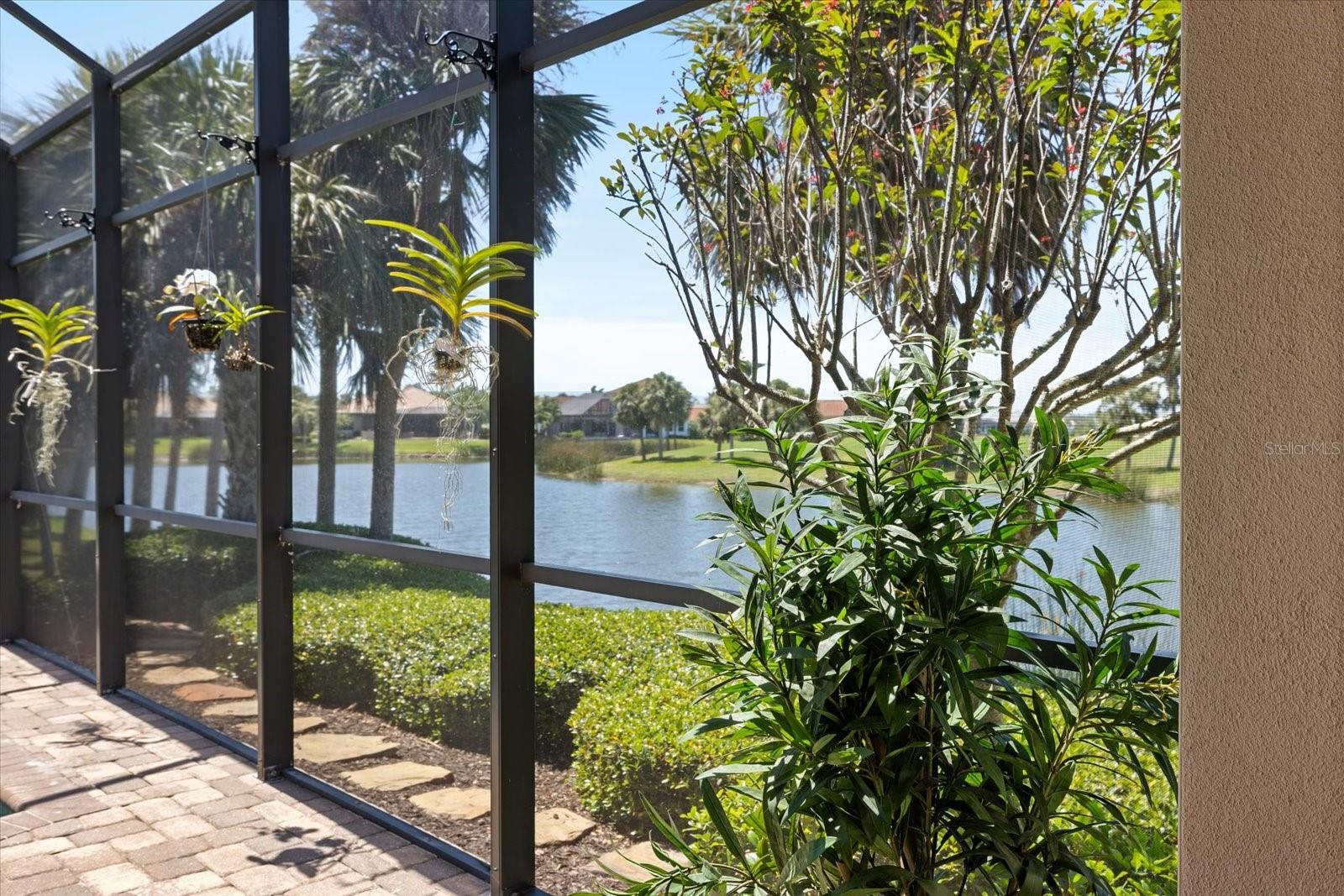 BOCA ROYALE - Residential